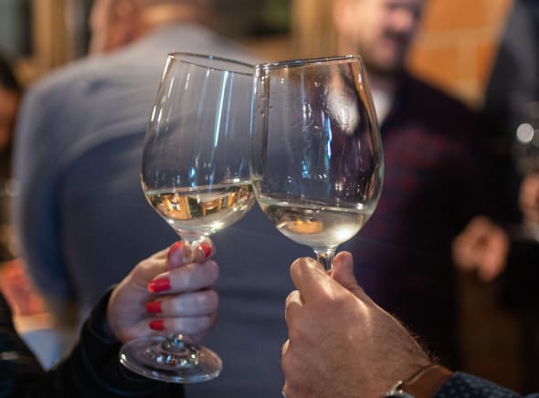 Networking večera 1 degustacija vina 1