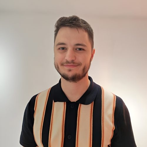 Ninoslav Srdić Ninoslav Srdic foto